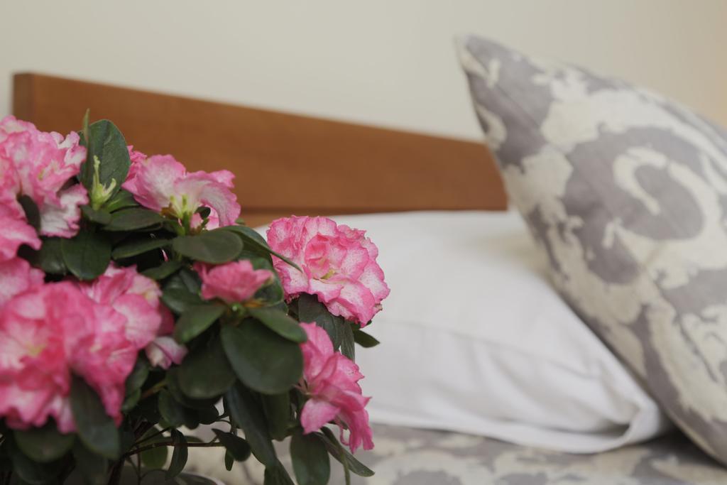 Accommodation Tara Beograd Bagian luar foto